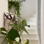 Romantic Wellness 4*