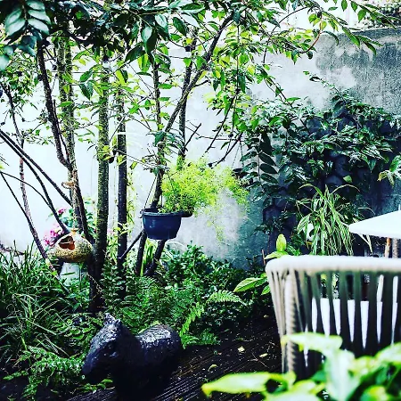 Romantic Wellness Bnb