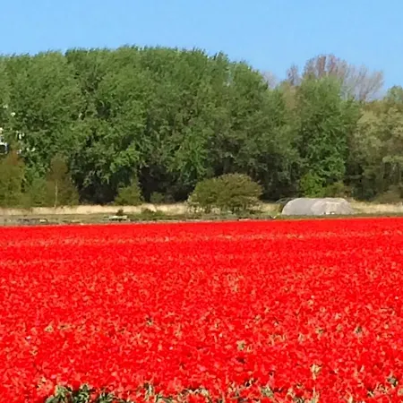 Romantic Wellness Bnb Noordwijk