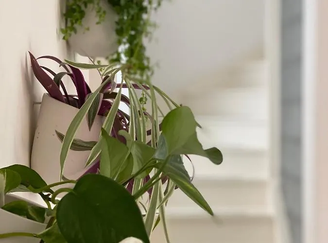 Romantic Wellness Bnb 4*