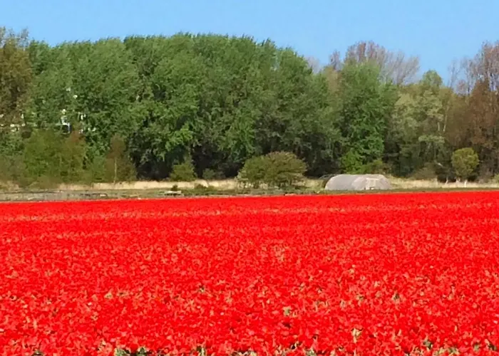 Romantic Wellness Bnb Noordwijk
